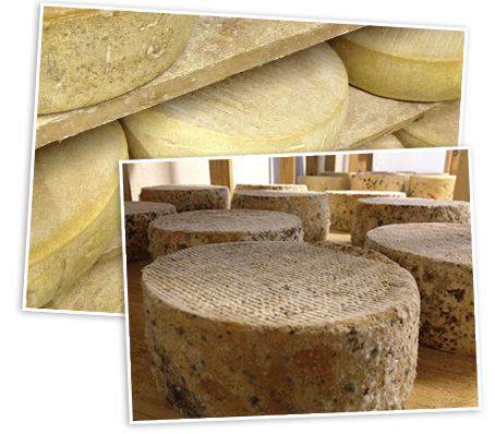 fromages fermiers.png